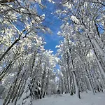 アパート Clede Lovee Dans La Foret Et Sa Riviere