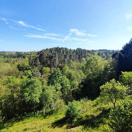 Clede Lovee Dans La Foret Et Sa Riviere Lägenhet *