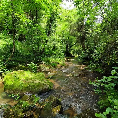 Clede Lovee Dans La Foret Et Sa Riviere