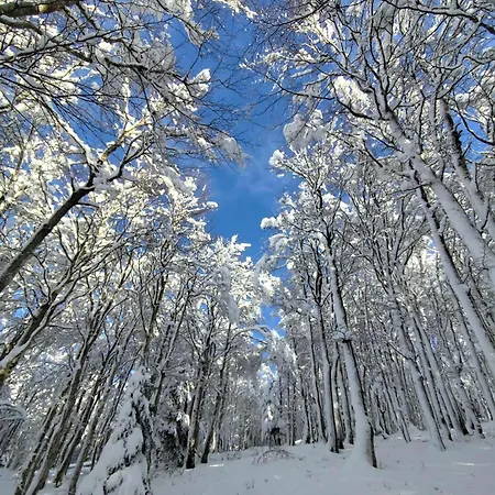 Lägenhet Clede Lovee Dans La Foret Et Sa Riviere